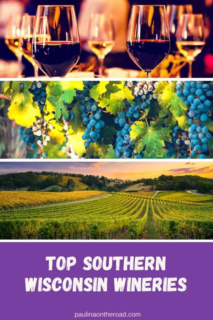 Pin with three images: several glasses of wine, purple grapes on vine, and fields of grape trees at sunset, text under images reads: top southern wisconsin wineries
