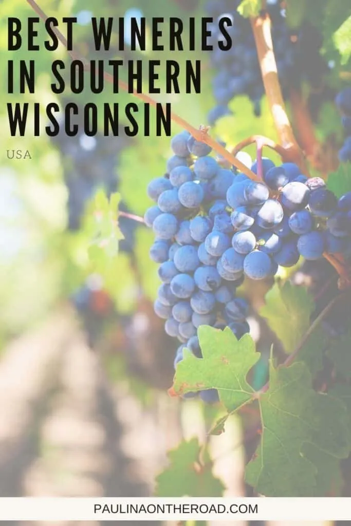 Pin with close up image of red grades on tree and blurred fields in distance, text over image reads: best wineries in Southern Wisconsin, USA