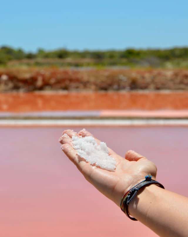 what to do in Tavira Portugal, Close up of hand holding a pile of white salt with orange and green scenery behind under a clear blue sky
