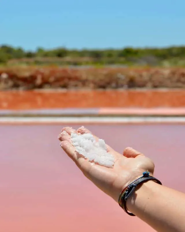 what to do in Tavira Portugal, Close up of hand holding a pile of white salt with orange and green scenery behind under a clear blue sky