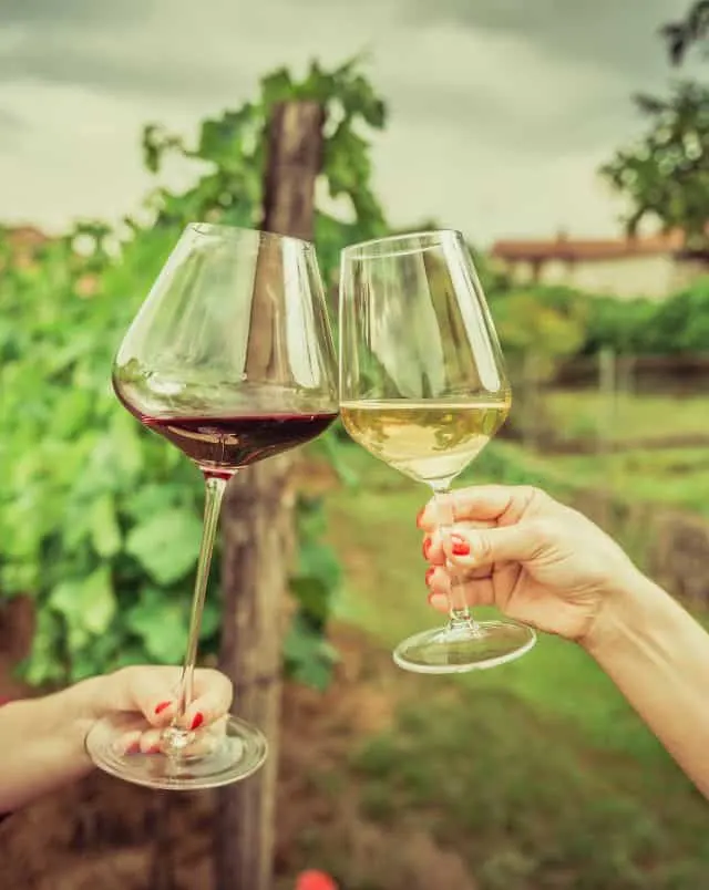 romantic things to do in Wisconsin in winter, Close up of two people's hands toasting glasses of wine in front of a vineyard