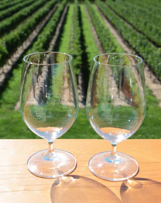 Close up shot of two empty wine glasses with a vineyard full of rows of green plants behind
