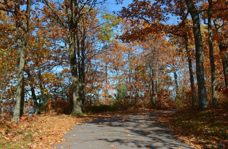 Head out on some fall trips in wisconsin, view of paved path leading through trees showing fall colors with plenty of fallen leaves on the ground all under a bright blue sky