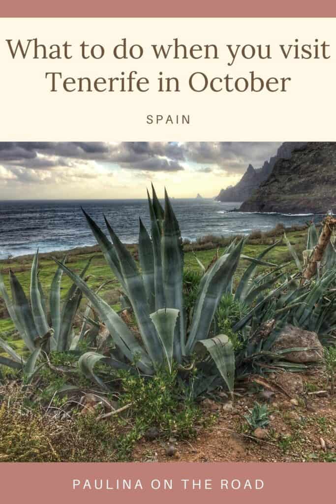 Pin with image of tall pointy green foliage in front of a patch of grass next to the sea with rocky coastline leading off into the distance under a dramatic bright sunny sky with thick grey clouds, caption reads: What to do when you visit Tenerife in October, Spain, Paulina on the Road