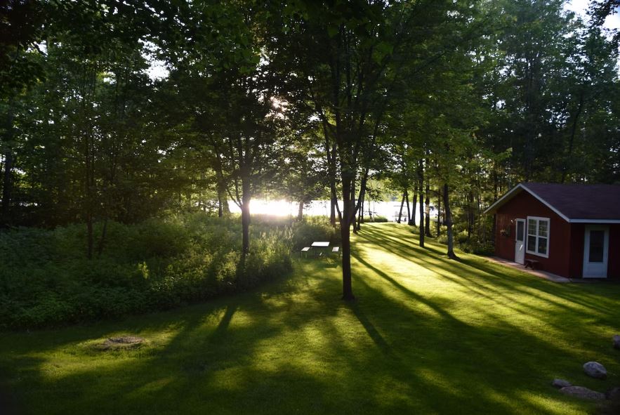 10 Best Airbnbs in Minocqua, WI Paulina on the road