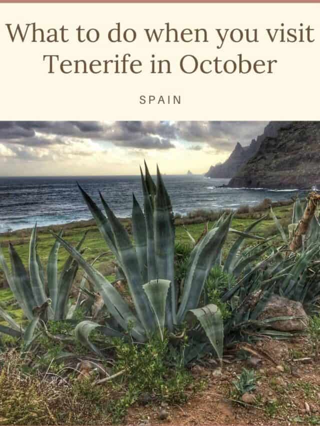 Pin with image of tall pointy green foliage in front of a patch of grass next to the sea with rocky coastline leading off into the distance under a dramatic bright sunny sky with thick grey clouds, caption reads: What to do when you visit Tenerife in October, Spain, Paulina on the Road