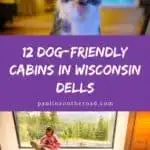 a pin with 1 photo of a dog and second photo of a woman ready by the window with dog next to her, at one of the best dog-friendly cabins in Wisconsin Dells
