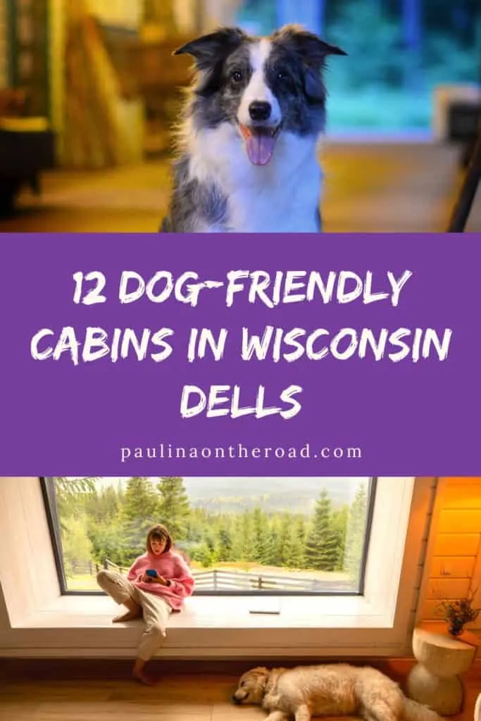 a pin with 1 photo of a dog and second photo of a woman ready by the window with  dog next to her, at one of the best dog-friendly cabins in Wisconsin Dells