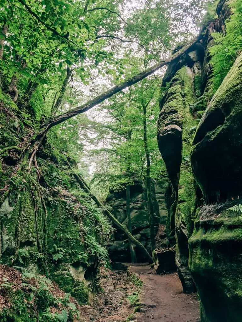 rocks in mullerthal, berdorf, luxembourg