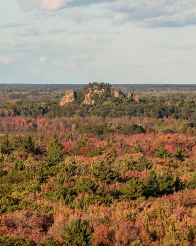 Wide open field of leafy shrubs in various shades of fall colors with a mound of rocks covered in green trees standing in the middle distance under a wide open bright sky with some wispy clouds