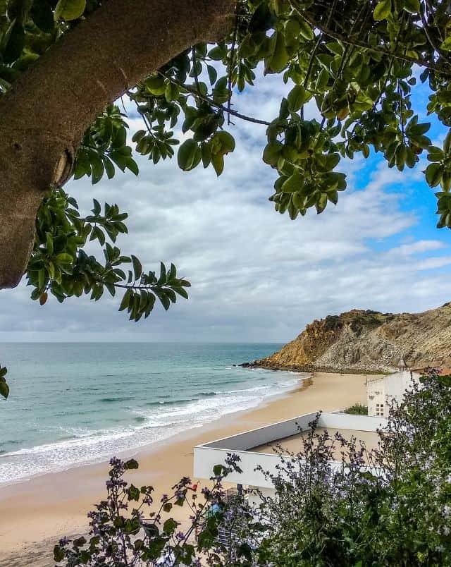 where to go on a day trip from Lagos Portugal, View from underneath a large green tree of a golden sandy beach with the white surf of small waves lapping at the shore next to a small white building and rocky hills running along the coast all under a blue sky with dense white clouds