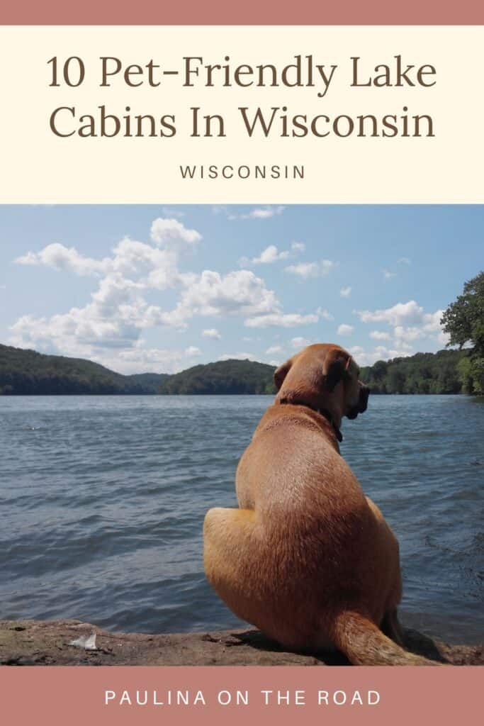 a pin with a dog on a dock at one of the best pet-friendly lake cabins in Wisconsin.