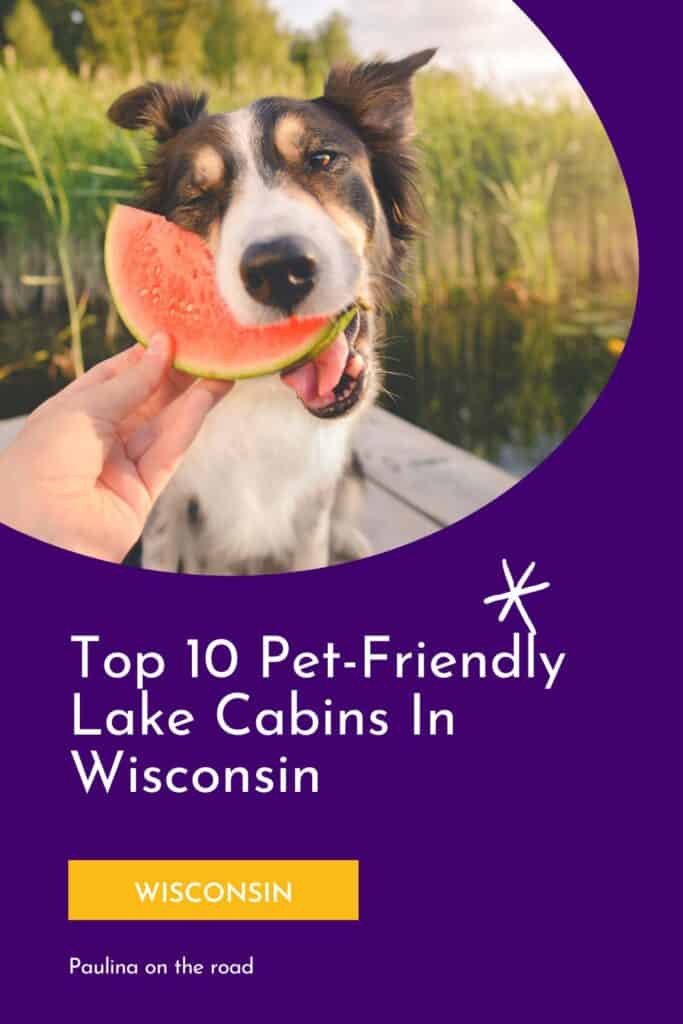 a pin with a dog eating watermelon at one of the best pet-friendly lake cabins in Wisconsin