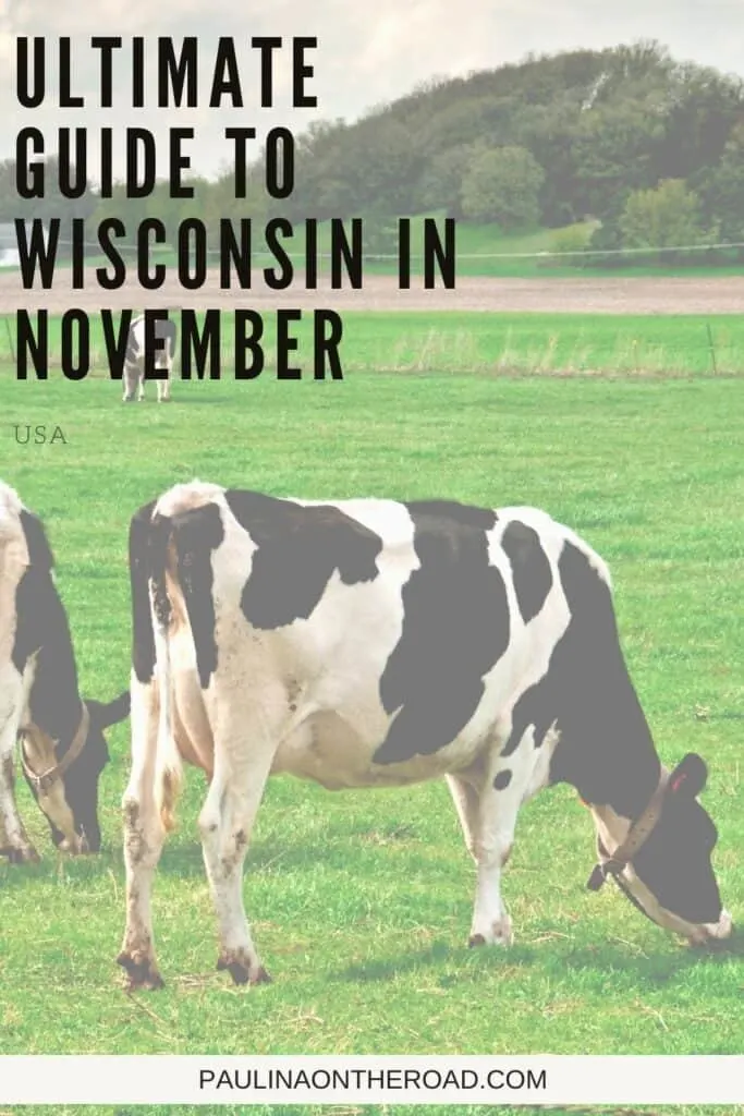 Pin with image of three cows grazing in a field of lush green grass with a hill covered in green trees in the background, caption reads: Ultimate Guide to Wisconsin in November from paulinaontheroad.com