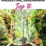 pin for the best things to do in mullerthal luxembourg