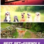 a pin with 3 photos related to pet-friendly cabins in Door County, Wi