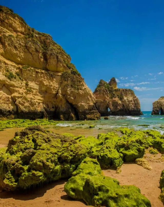 things to do near Portimao, View of rocks covered in virulent green moss standing on sandy beach next to tall rocky cliffs standing on the coast under a bright blue sky