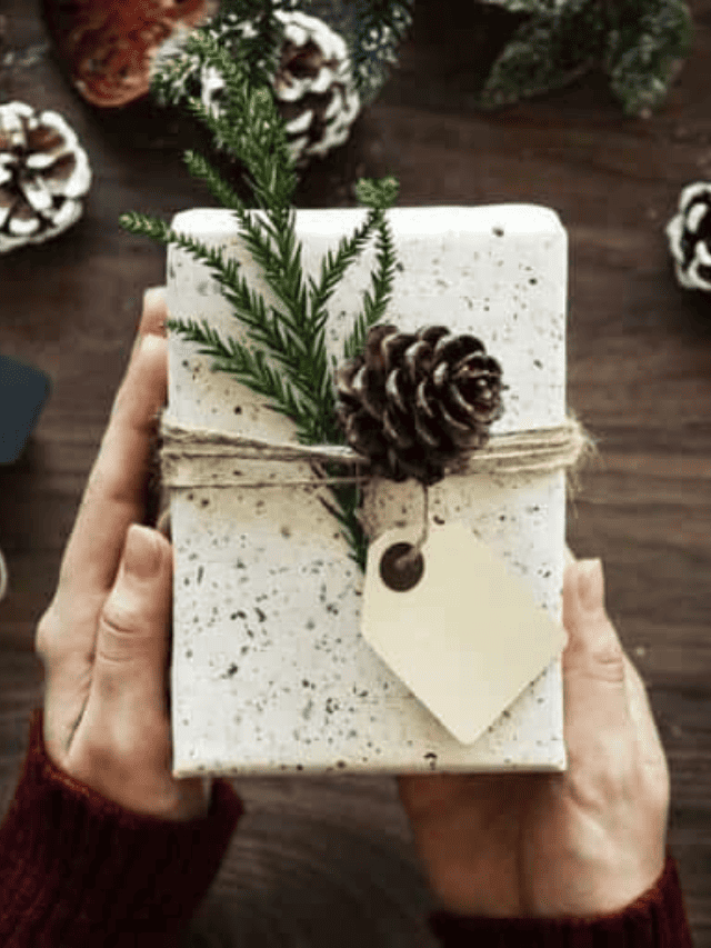 Amazing Sustainable Christmas Gifts Story
