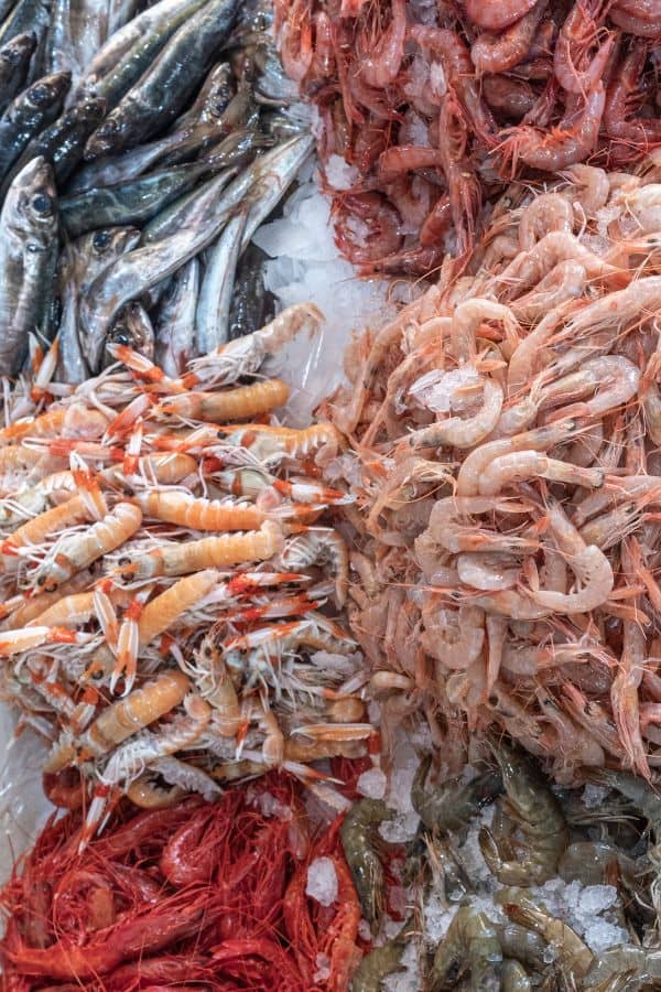 Top Portimao attractions, Fresh Fish, Shellfish, Squid For Sale at Fish Market in Algarve, Portugal