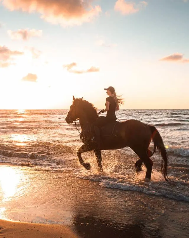 things to do in Vilamoura for couples, Shot of woman in a baseball cap riding on a horse through the shallow waves of the ocean on a sandy beach at sunset