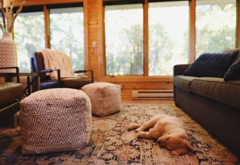 a puppy sleeping on a carpet at the Cozy H-Frame Lake Cabin in Jacksonport, WI