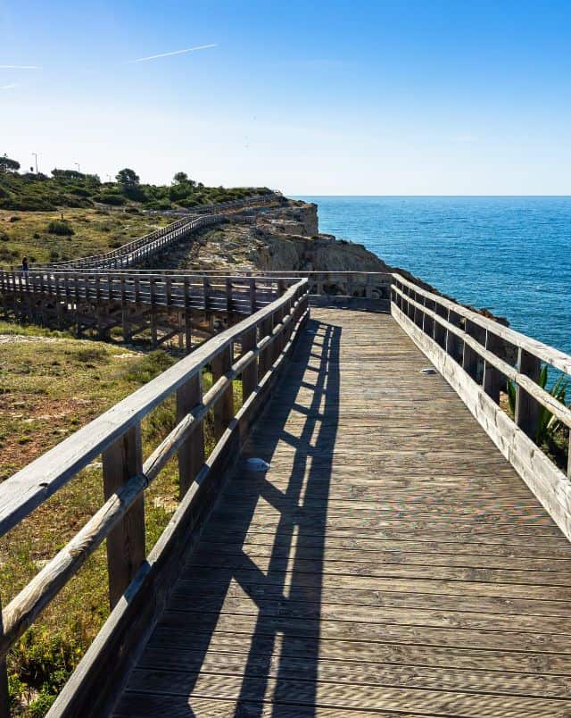 Best Carvoeiro things to do, Wooden walkway running along the coast with green grass and trees on one side and wide open blue sea on the other all under a clear bright blue sky