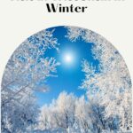Pin with image of bare trees covered in a layer of bright white frosting and snow circling a clear blue sky with the bright winter sun beaming down in the middle, caption reads: Amazing Places to Visit in Wisconsin in Winter from paulinaontheroad.com