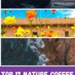 a pin with 3 photos related to Nature Coffee Table Books