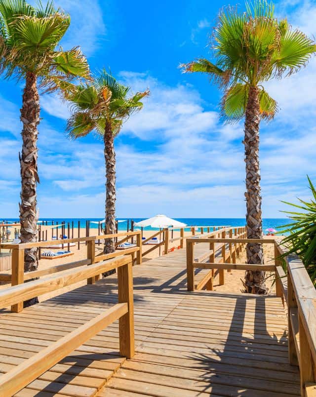 best things to do in Silves Algarve, View of a wooden boardwalk surrounded by tall palm trees with a golden sandy beach and the deep blue sea beyond all under a bright blue sky with some white clouds
