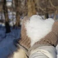 Best Things to do in Wisconsin in February, Close up shot of pair of hands in thick woolen gloves holding some soft white snow in the shape of a heart with bare winter trees behind