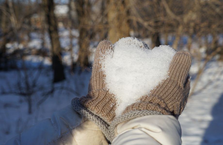 Best Things to do in Wisconsin in February, Close up shot of pair of hands in thick woolen gloves holding some soft white snow in the shape of a heart with bare winter trees behind