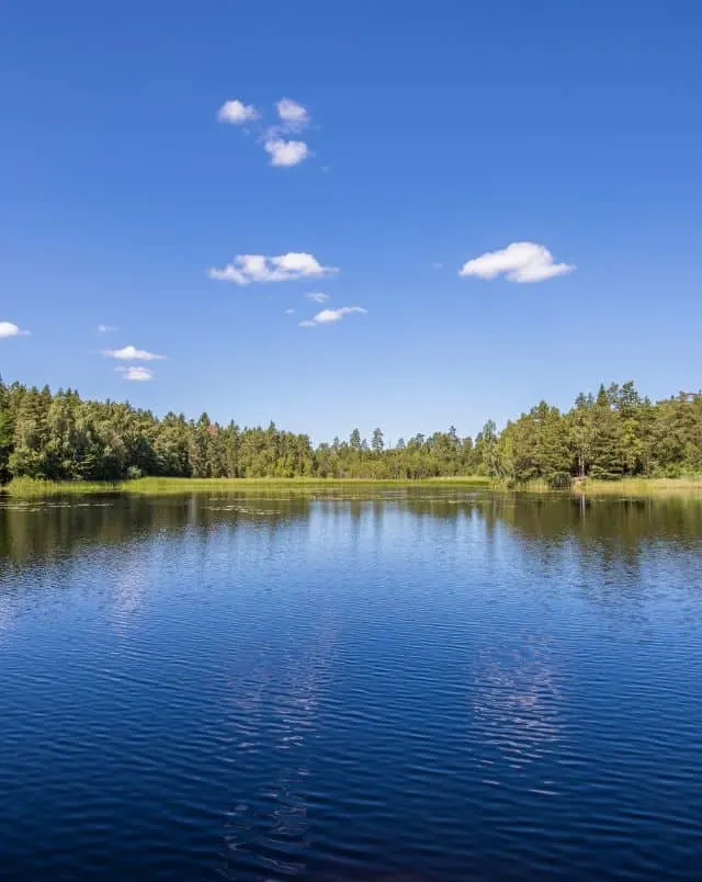Wisconsin vacations for families, View of the calm blue waters of a wide lake surrounded by green trees and foliage under a wide open blue sky with a few white fluffy clouds
