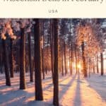 Pin with image of the golden rays of the setting sun streaming through a forest of winter trees as they cast long shadows on the snow-covered ground, caption reads: Fun Things to do in Wisconsin Dells in February, USA from Paulina on the Road