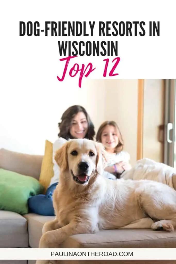 a pin with a golden retriever and its family at one of the best dog-friendly hotels in Wisconsin