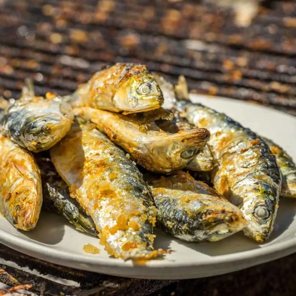 Fried sardines on white plate, traditional Portuguese food