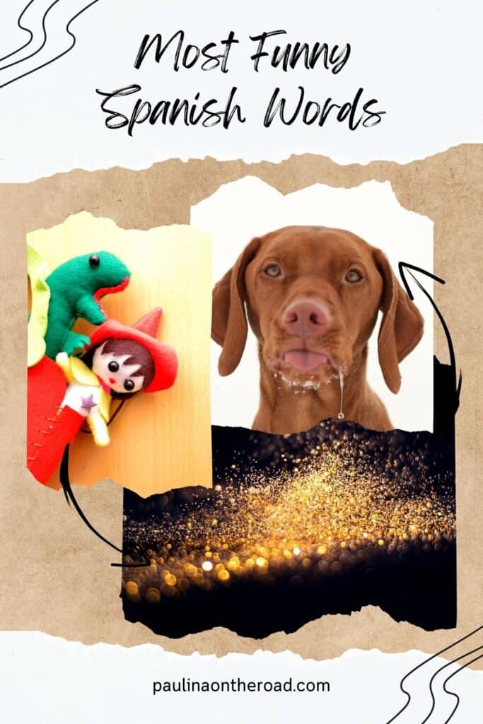 a red and green bag with a toy in it, a brown dog with its tongue out on a white background, gold glitter dust on black background with bokeh effect, most funny spanish words pin