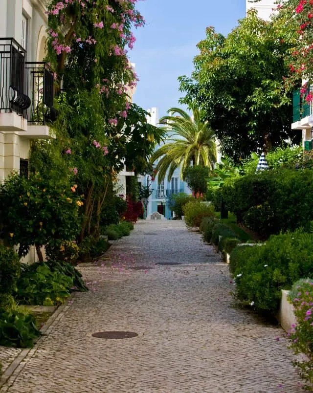 places to go in Vilamoura, View looking along a stone pathway running between tall buildings lined with vibrant green plants and trees under a clear blue sky