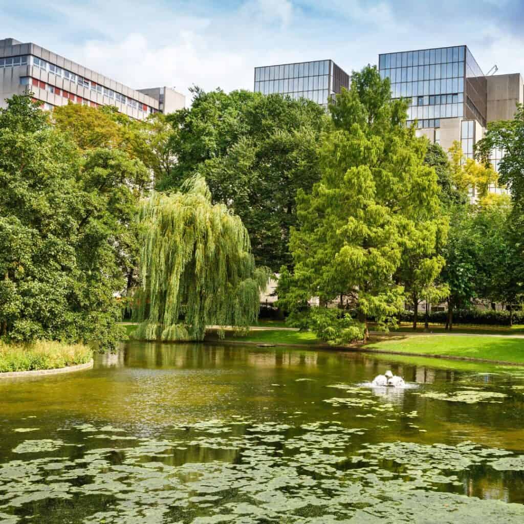 a body of water in a park surrounded with green trees with buildings peeking at the back