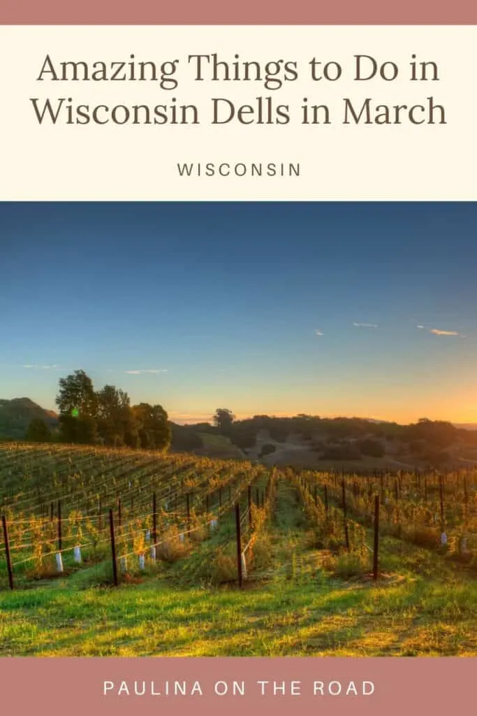 Pin with image of a large vineyard with neat rows of cables attached to fence posts supporting vines under the golden glow of sunset in the vibrant twilight sky, caption reads: Amazing Things to Do in Wisconsin Dells in March, Wisconsin from Paulina on the Road