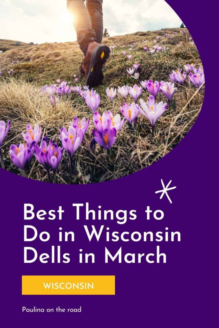 12 Fun Things to Do in Wisconsin Dells in March Paulina on the road