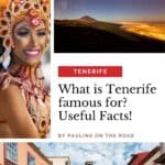 a woman in a carnival costume, a dark sky in a sunset with stars and a mountain, What is Tenerife Famous For