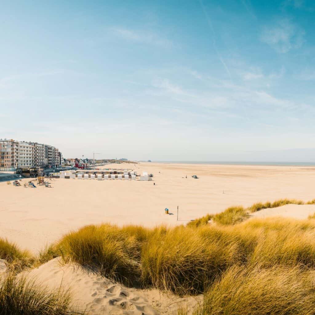 a panoramic view of a beach with tall grass and buildings