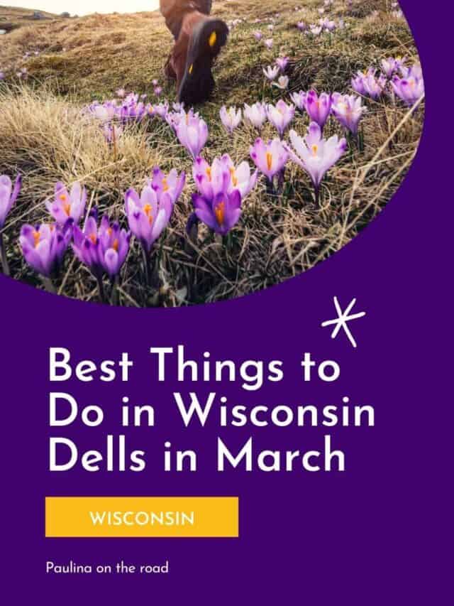 12 Fun Things to Do in Wisconsin Dells in March
