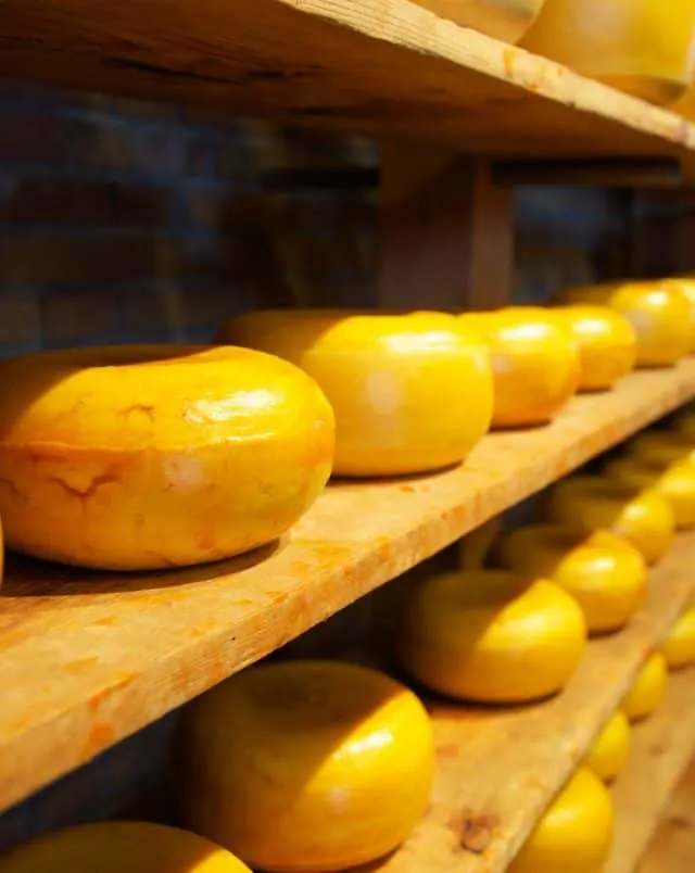 fun family things to do in Wisconsin, Close up shot of a long stack of wooden shelves holding numerous wheels of yellowy-orange cheese
