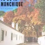 Pin with image of a cobbled street running between two white-walled buildings towards a large multi-story apartment building with some brightly colored autumnal trees with golden red and orange leaves all under a bright azure blue sky, caption reads: Best Things to Do in Monchique, The Algarve from paulinaontheroad.com
