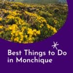 Pin with image of bright yellow flowers growing in clusters amongst the green grass atop a series of rolling hills leading off into the hazy distance all under a bright clear sky, caption reads: Best Things to Do in Monchique, The Algarve from Paulina on the Road