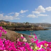 a photo with pink flowers and Tenerife in the background, where to stay in Tenerife in March