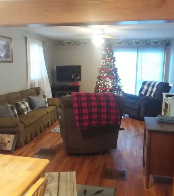 living room with sofa and a christmas tree at Quiet Countryside Cottage in La Valle, Wisconsin