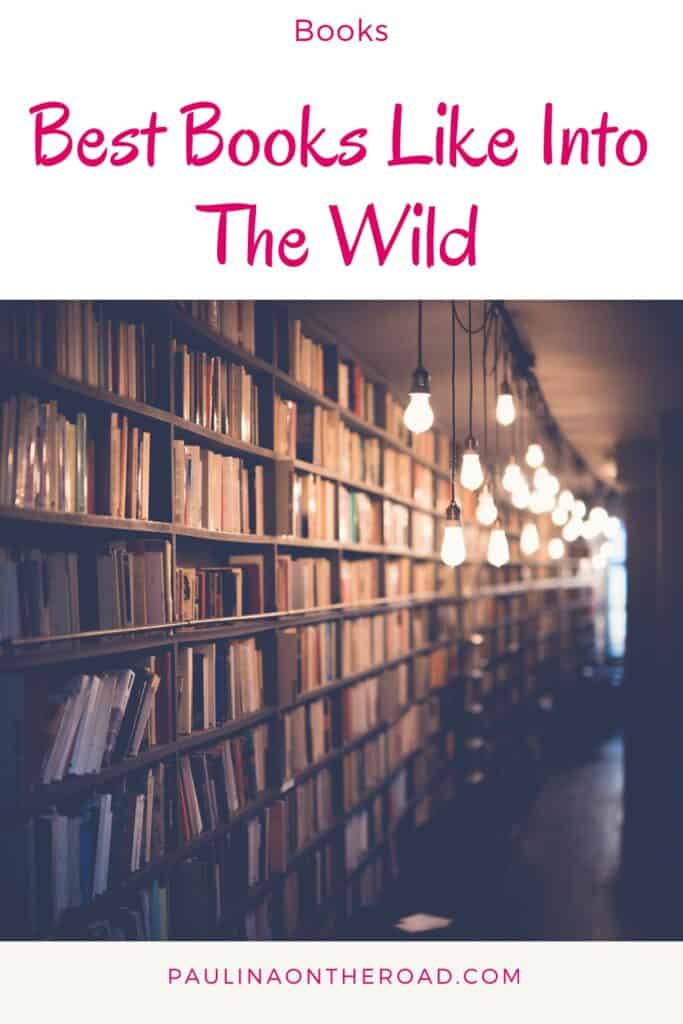 a pin with book shelves at a library, Best Books Like Into The Wild