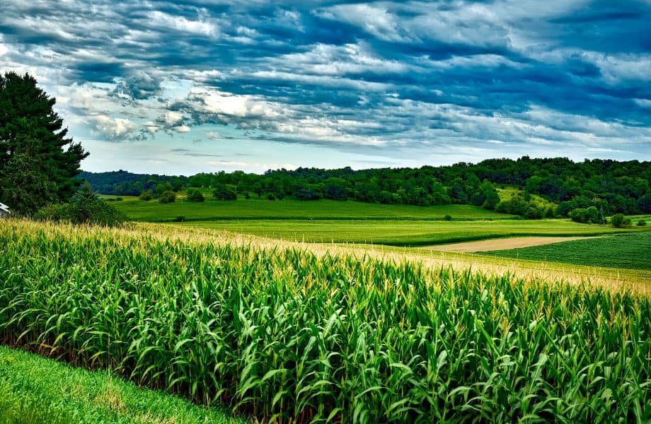 Fun Places to Visit in Wisconsin in April, View of rolling fields with tall green corn leading into rows of other green crops with trees dotting the hillside in the distance all under a dramatic cloudy sky